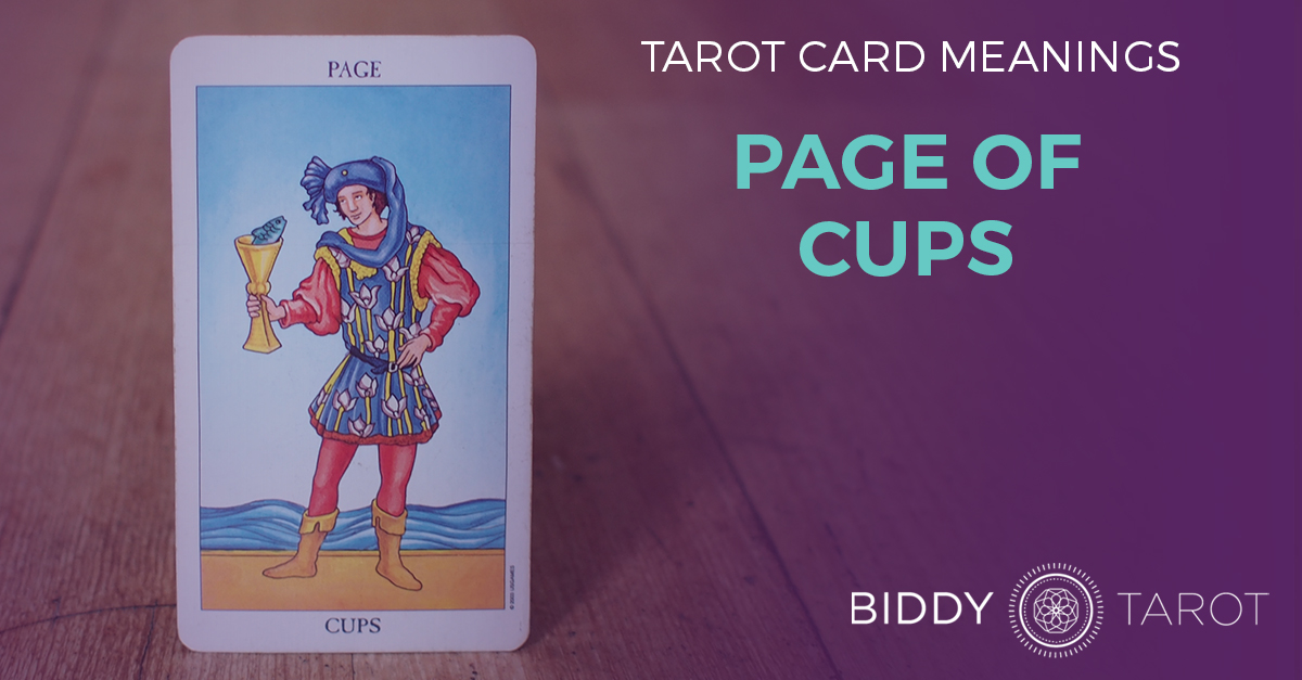 Page of Cups Tarot Card Meanings Biddy Tarot.