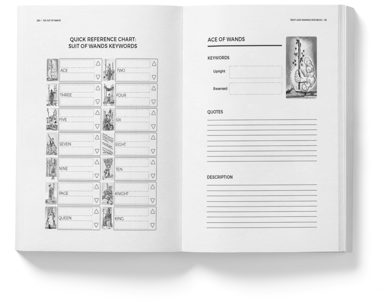 Tarot Card Meanings Workbook | Biddy Tarot
