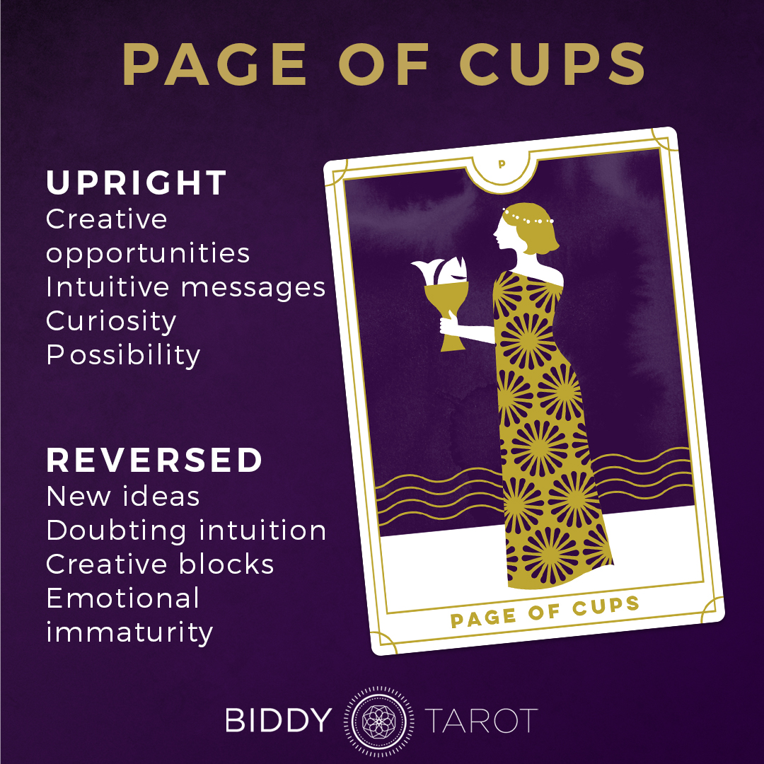 talent Portræt panel Page of Cups Tarot Card Meanings | Biddy Tarot
